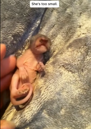 A2104011 Stop chasing status. Start chasing miracles (Part 2)