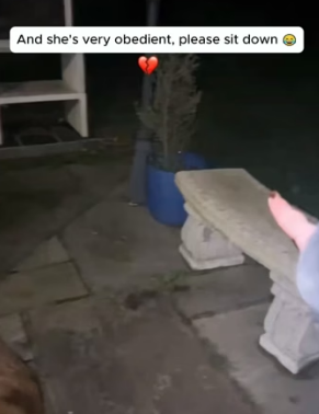 A2104009 A designer belt vs. A lifeline for the forgotten (Part 2)