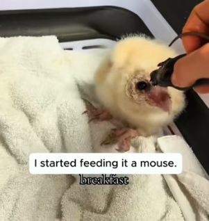 A2104006 What defines you your garage or your gratitude (Part 2)