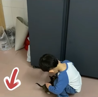 Miley Cyrus buys herself flowers—let’s buy this pup a second chance