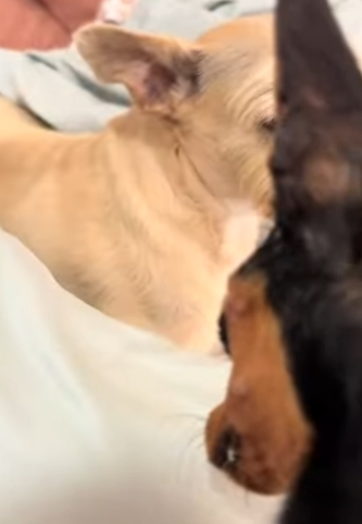 One second to scroll. One minute to care. One life to save (Part 2)