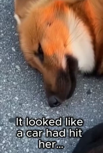 P0304011 Oprah Winfrey is ready to give this survivor a miracle home (Part 2)