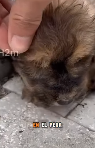 M2204005 Beauty is found in a store. True beauty is found in a survivor’s eyes (Part 2)