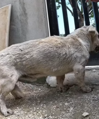 M2204004 Your bank account is your ego. Your actions are your soul. (Part 2)