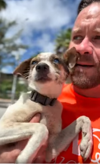 M2204001 Stop chasing status. Start chasing miracles. (Part 2)