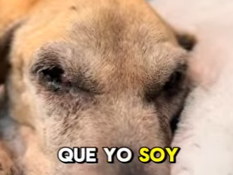 M2204003 Ramoncita Lobito Buscan Le darías una oportunidad una vez (Part 2)