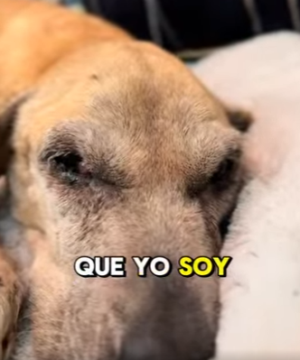 M2204003 Ramoncita Lobito Buscan Le darías una oportunidad una vez (Part 2)