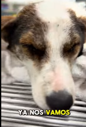 A designer bag is empty if your heart isn’t full of mercy (Part 2)