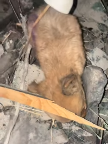 M2204009 Rich in things. Poor in spirit. Don’t be that person (Part 2)