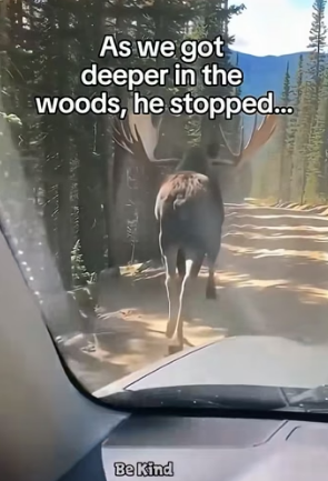 V2204002 Your bank balance measures your success. This rescue measures your soul (Part 2)