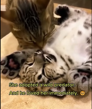 V2204001 $500 for a night out vs. $500 to save a life. What’s the real vibe (Part 2)