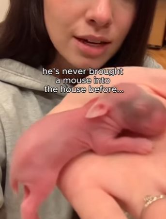 F0304012 The footage that would make Eminem stop and rethink everything (Part 2)