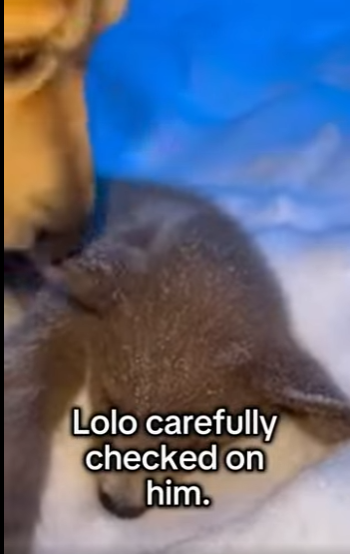 F0304006 The cry for help that would haunt Ariana Grande forever (Part 2)