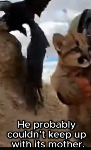 F0304008 Will Smith needs to see this Pursuit of Happiness in the flesh (Part 2)