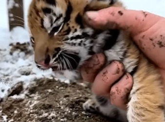 H2504010 The world is full of critics. Be a rescuer instead (Part 2)