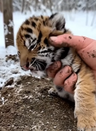 H2504010 The world is full of critics. Be a rescuer instead (Part 2)