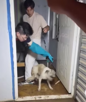 R0104008 can express your pain in words (Part 2)