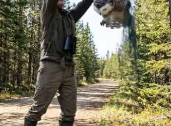 A2904011 Rescued a mother owl and her two chicks after they got caught in a net trap in the forest (Part 2)