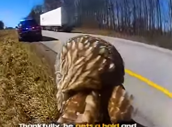 I0404001 Owl Rescued Busy Road By Officer (Part 2)