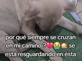 M0404003 ya no quiero ni mirar (Part 2)
