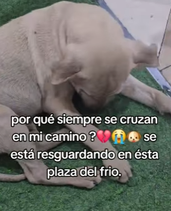 M0404003 ya no quiero ni mirar (Part 2)