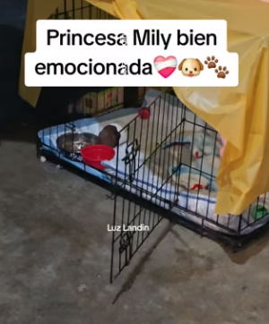 M0404004 Simplemente pasito pasito con Mily (Part 2)