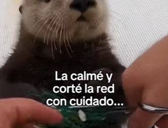 A0504004 Este viaje de pesca se convirtió en un rescate (Parte 2)