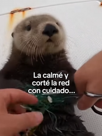 A0504004 Este viaje de pesca se convirtió en un rescate (Parte 2)