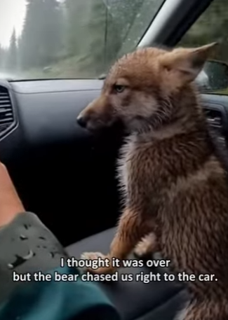 F0504005 Jeff Bezos couldn’t deliver a more “Prime” miracle than this. (Part 2)