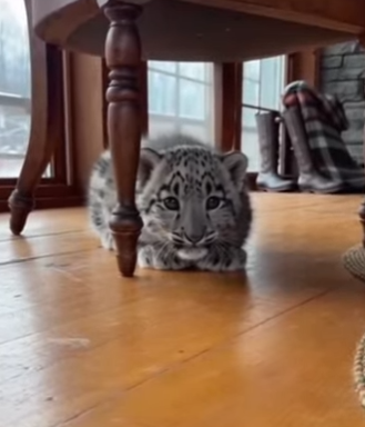 F0504003 Lionel Messi would trade his World Cup for this one miracle recovery (Part 2).