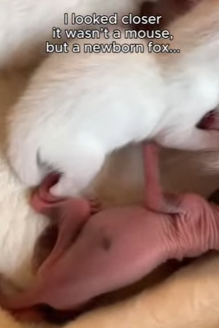 F0504001 Bill Gates would be shocked: You can’t put a price on this spirit. (Part 2)