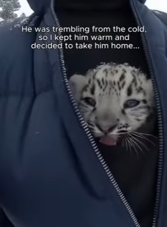 F0504002 Oprah Winfrey is about to tell the world why this rescue matters. (Part 2)