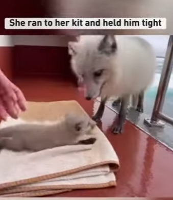 F0504004 Snoop Dogg just met his new “Best Bud.” You won’t believe why! (Part 2)