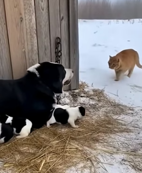 E2703006 Ketua oyen lagi (Part 2)