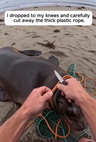 P0104006 Taylor Swift needs to see this miracle recovery (Part 2)