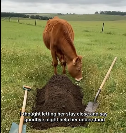 P0604009 Her mate helped her to be happy (Part 2)