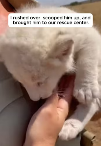 P0104007 MrBeast couldn’t have scripted a more insane rescue. (Part 2)