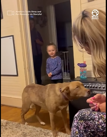 I0604005 Rihanna would call this survivor a Wild Flower in the concrete. (Part 2)