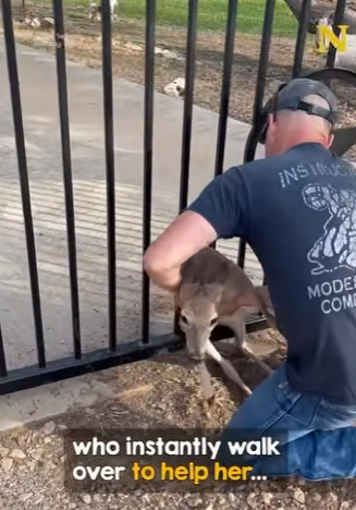 I0604004 Kanye West would call this the most Genuis recovery of the year (Part 2)