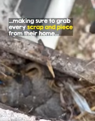 I0604001 They Didn Expect to Find on Roof (Part 2)