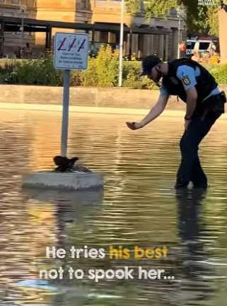 I0604006 They treated her like a ghost. Lady Gaga would treat her like a Star (Part 2)