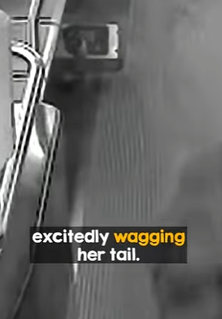 I0604002 Will Smith needs to see this real-life Legend beating the odds. (Part 2)