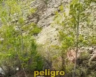 A0604001 Snow leopard chasing argali sheep. (Part 2)