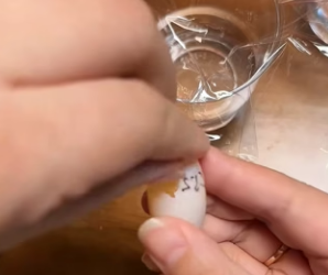 A0604004 secretly took one of turtle eggs while it was laying them (Part 2)
