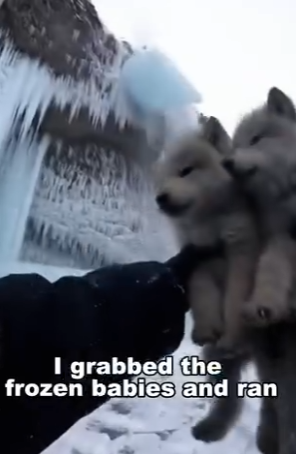 F0604006 How is possible (Part 2)