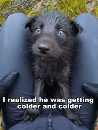 F0604005 Did you expect ending (Part 2)