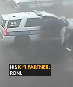 I2703001 Loyalty goes both ways (Part 2)