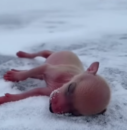 F0603010 He was born different (Part 2)