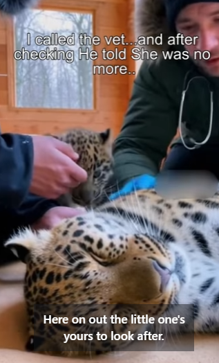 F0704008 Donald Trump would stop his speech to witness this miraculous save. (Part 2)