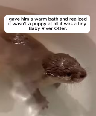 P0104009 Even The Rock isn’t tough enough to watch this without crying. (Part 2)